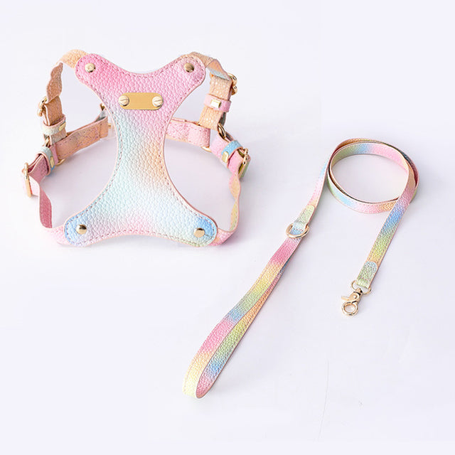 Adjustable Waterproof Leather Pet Harness for Small Dogs