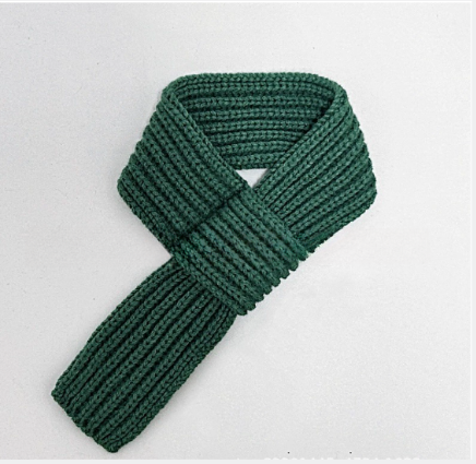 The Pet Scarf
