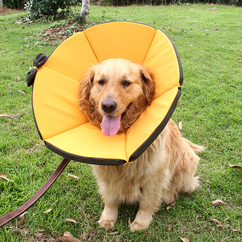 Dog Recovery Care Collar for Sick Pets