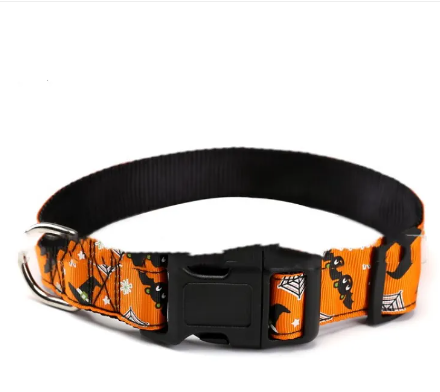 Halloween Collar