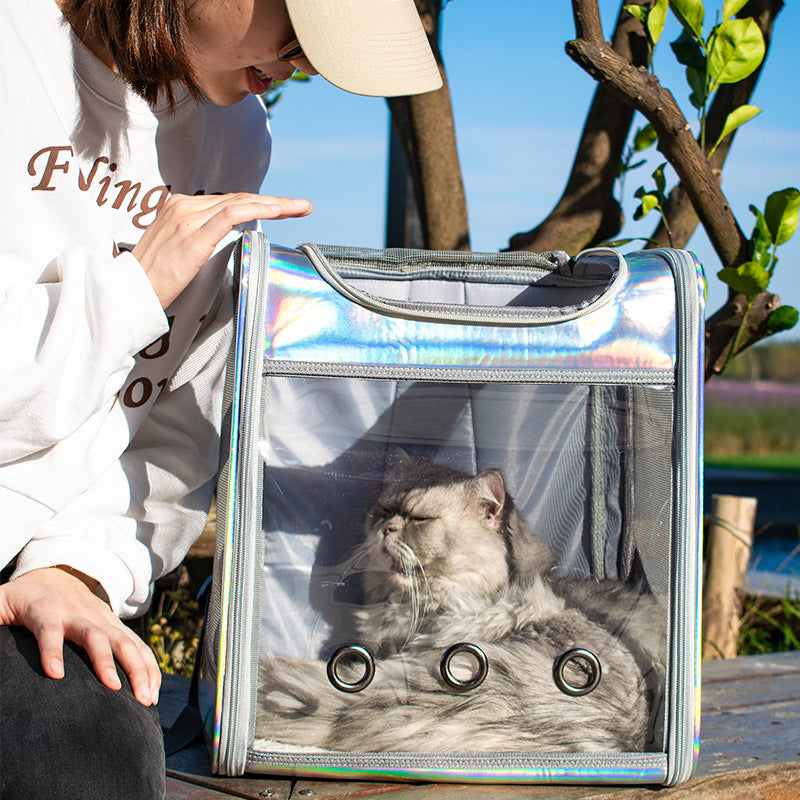 Large Transparent Laser Dog Backpack for Travel