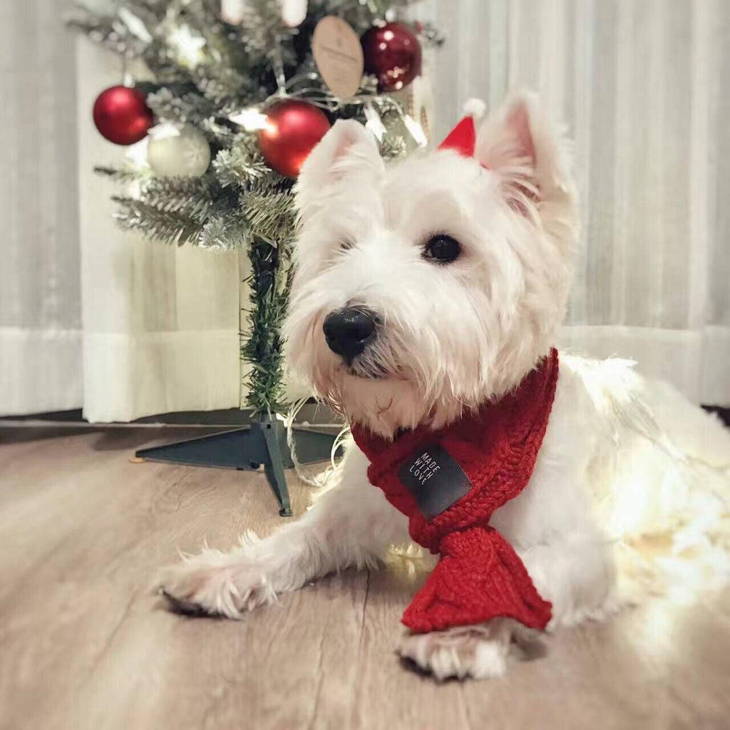 The Pet Scarf
