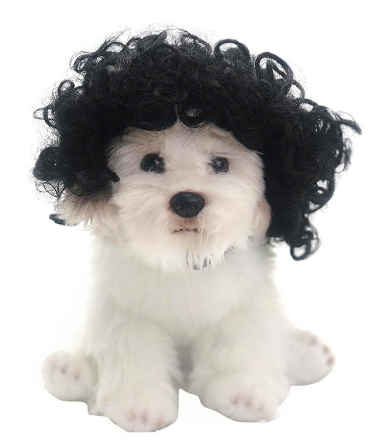 Pet Costume Wig