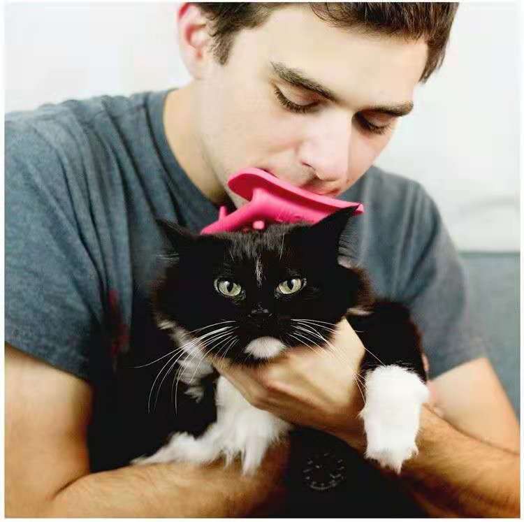 "Interactive Hair Removal Massage Comb for Cats and Dogs"